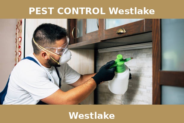 PEST CONTROL Westlake